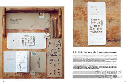 特殊工藝包裝與產(chǎn)品設(shè)計(jì)的藝術(shù)視覺平面設(shè)計(jì)