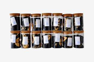 深圳平面設(shè)計(jì)協(xié)會在標(biāo)本衍生品絲巾領(lǐng)域的工業(yè)設(shè)計(jì)服務(wù)創(chuàng)新