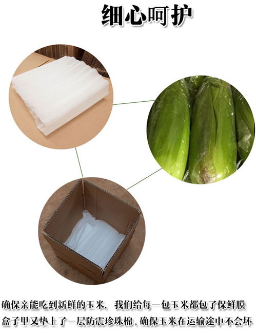 專業(yè)平面設(shè)計(jì)指南 打造“彩云好果果”淘寶店鋪裝修與產(chǎn)品詳情頁